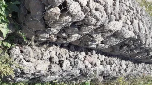 Մեծամոր և Քյանդալ - նկար #1